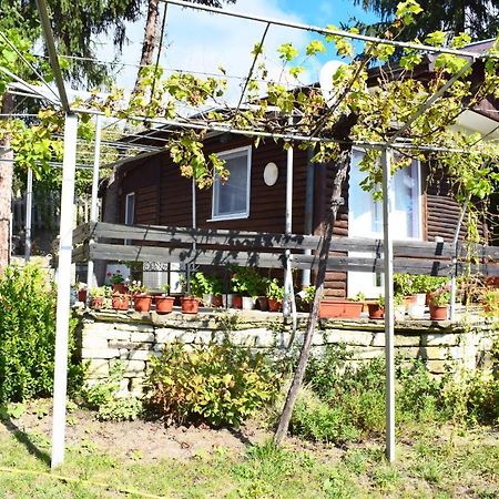 Holiday Home Vilata Kŭrdzhali 外观 照片
