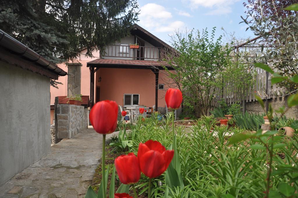 Holiday Home Vilata Kŭrdzhali 外观 照片