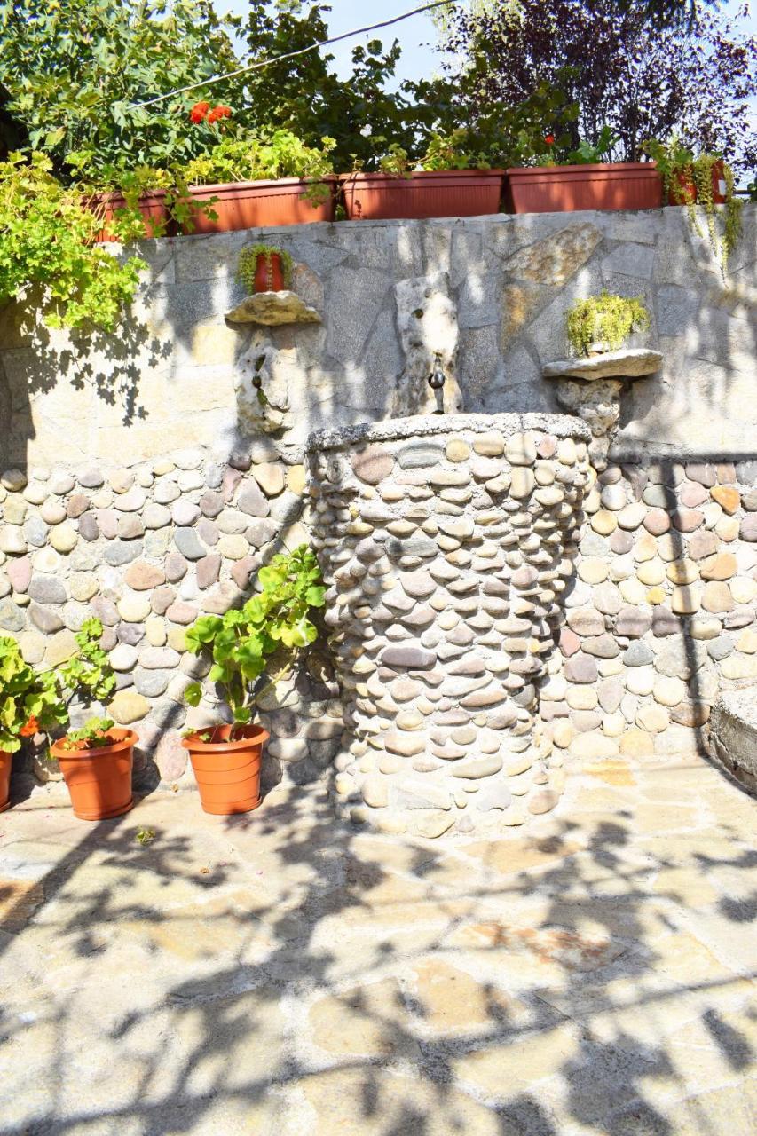 Holiday Home Vilata Kŭrdzhali 外观 照片